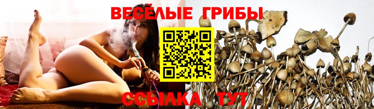 Псилоцибиновые грибы Magic Shrooms  Псилоцибиновые грибы мухоморы  Кыштым  Вход с VPN 