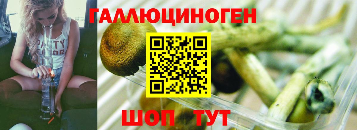 Псилоцибиновые грибы MAGIC MUSHROOMS Кыштым